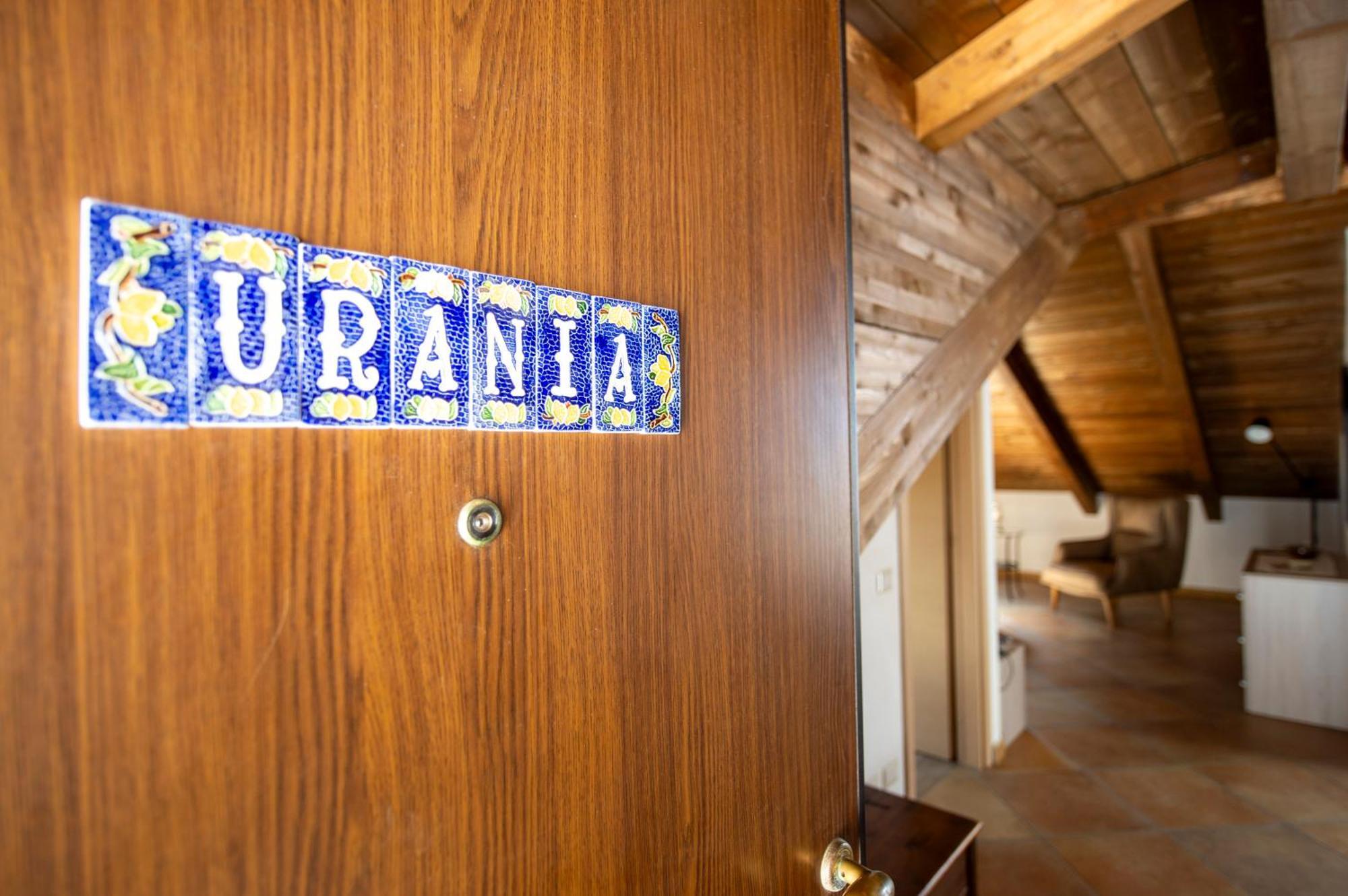 Loft Suite